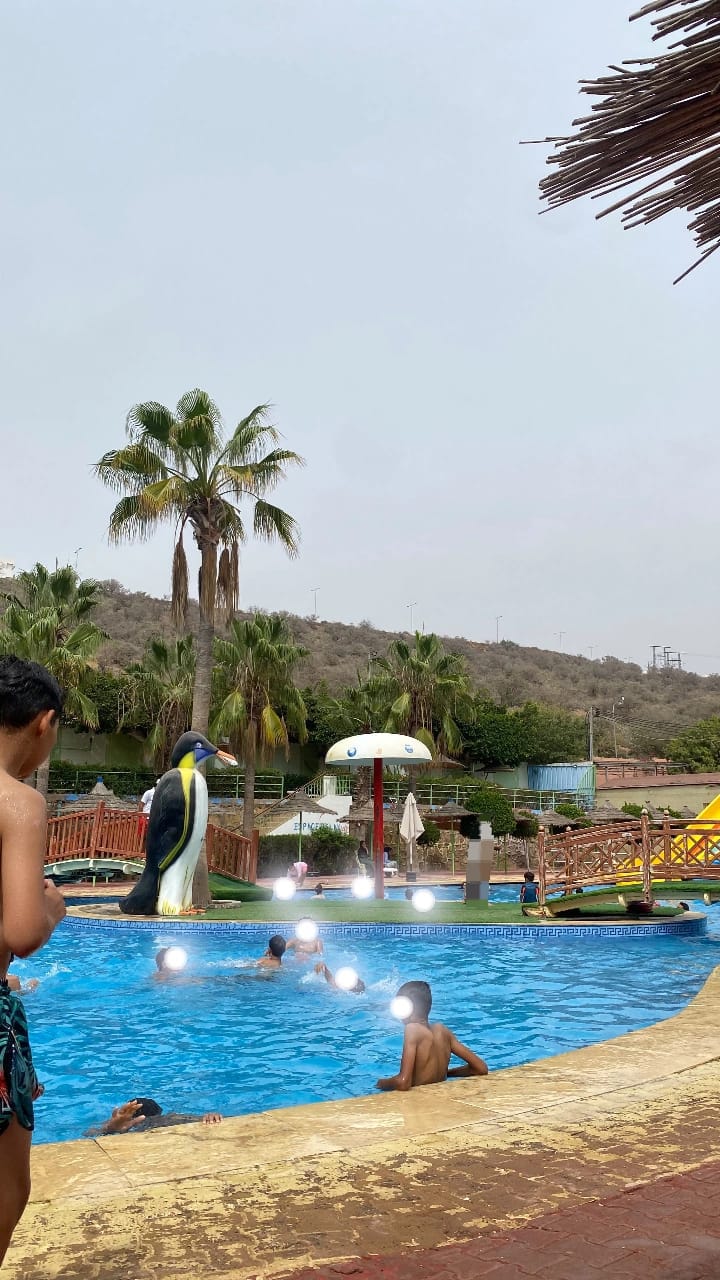 أنشطة ترفيهية