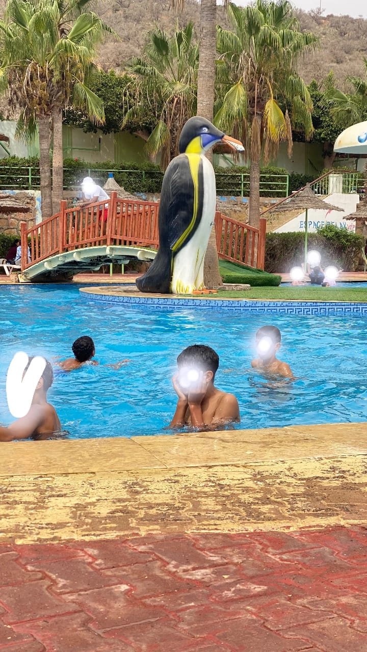 أنشطة ترفيهية